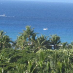 breezy day  hi surf trades are here