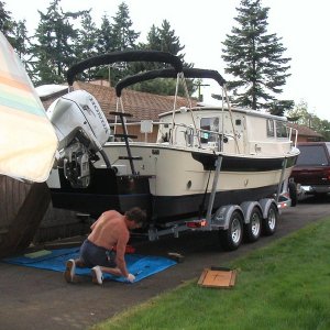 (pugetsounder)