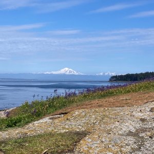 Mt. Baker from Patos Island, View 2