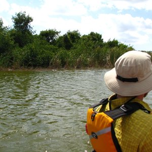 Media 'Canoeing Everglades National Park' in album 'Manatee gets a drink'