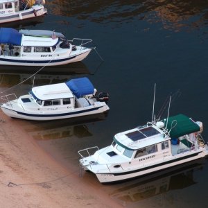 Gypsy River, Kerri On, C-Swell, Discovery at Oak Canyon
