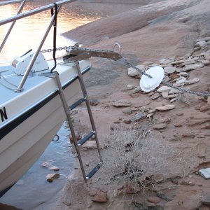 Paper plate on anchor line to keep varmits at bay.  We had a mouse in the cabin on the first night before we took precautions.  C-View