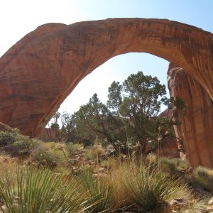 Rainbow Bridge -- C-View