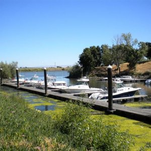Brannan Island state park at the Striper boat get together