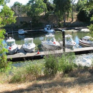 The lone C-Dory in a group of Stripers at the Striper boat get together at Brannan Island State park Calif