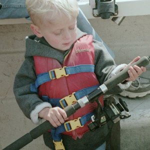 Media 'Mighty salmon fisherman' in album 'C-Gull on the day of purchase'