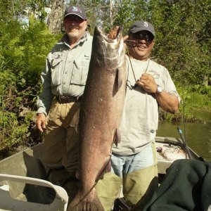 Here's the big fish of the trip, a 35 lb King.  The biggest fish I've ever caught.  What a great battle and a great day!