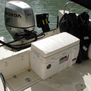 The new cooler