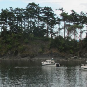 Daydream, C-Dancer, Halcyon and Knotty C at Fossil Bay 7-20-11