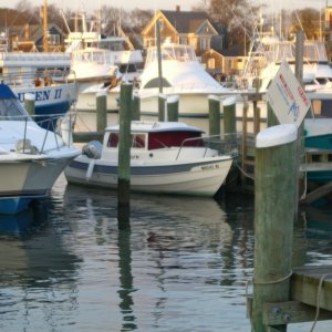 Winter berth for November and December