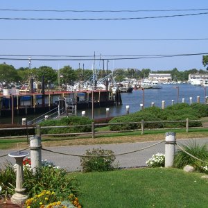 Summer View from the Old Homestead