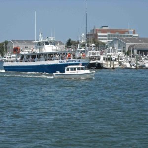 Heading Out of Hyannis, Ma harbor.