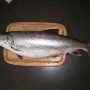 prep for smoking