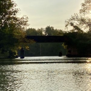 IMG 0407