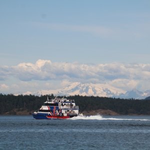 IMG 7745