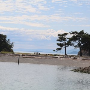 IMG 7934
