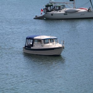 IMG 7919