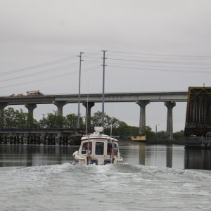 IMG 7957