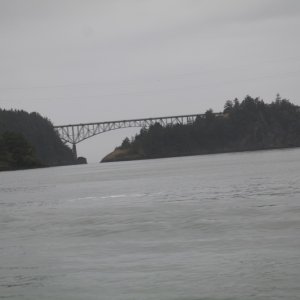 IMG 7984