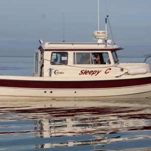 IMG 7586