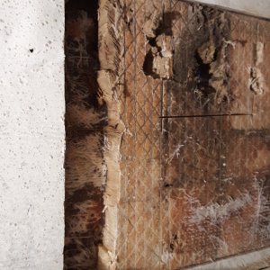 rotten transom core