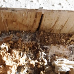 these kerfs in the balsa allowed water to run through the entire hull