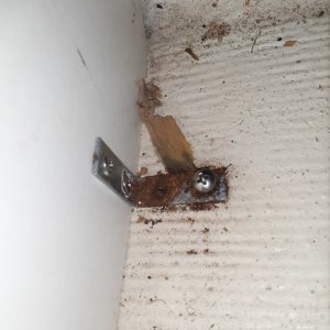 source of water intrusion