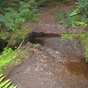 Only the top half of this old water pipe remains.  This pipe was made of formed and riveted steel and fed water to a salmon cannery from ~1900 to ~1933