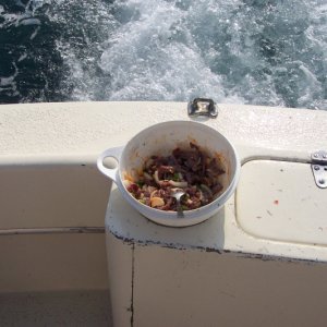 Media 'Ceviche!!' in album 'P.V. 06''