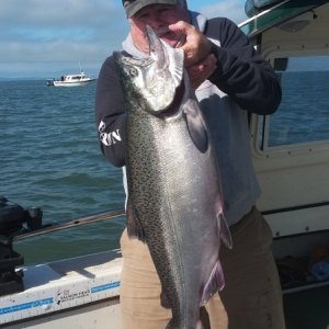 Sandheads spring salmon