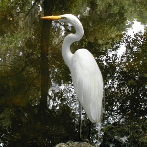 DSCN1809.JPG