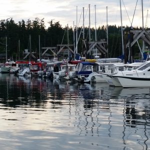 View back from the breakwater.