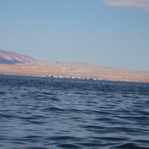 Media 'Looking across Bullfrog Bay at Bull frog Marina in the distance.' in album 'Lake Powell'