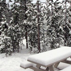 June 11th... let it snow, let it snow, let it snow...