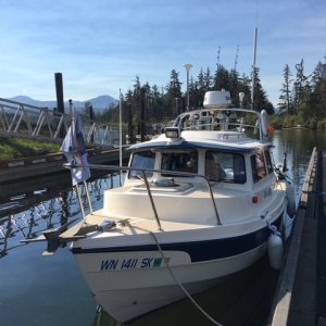 Media '2018BCfish04' in album '0812181557a'