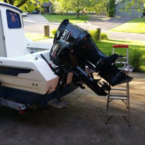 Media 'Both motors tilted up' in album 'Brand new-in-box motor'