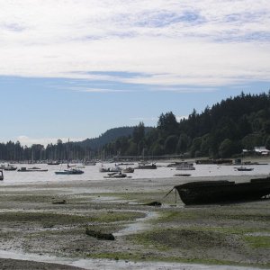 Media 'Port Browning.' in album 'Deer Harbor'