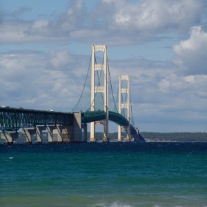259