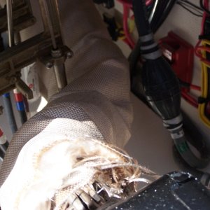 (Bob Cat) blanketed exhaust tube