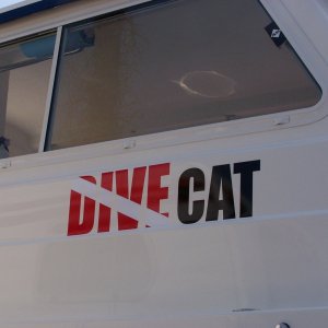 (Bob Cat) DIVE CAT LIVES!!!