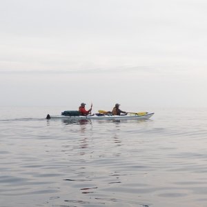 Open water crossing Carpenter Bay.