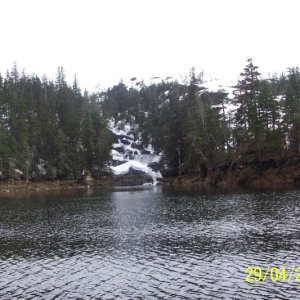 (C-Biscuit) Hidden Cove PWS