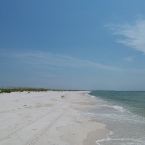 July 4, noon, Gulf Is Natl Seashore, Johnson Beach sector