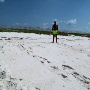 turtle nest and tracks, she was a substantial woman in the Sea turtle world...