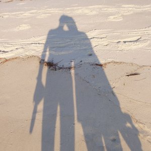 Horn Island, Gulf Is Natl Seashore, the best place in the world