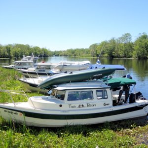 Weed anchoring on the St John (invasive weeds)