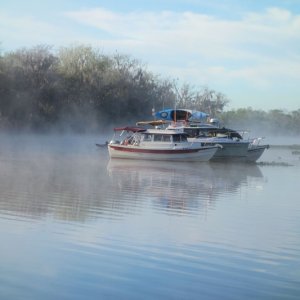 overnight cruise at Butchers Bend on the St John river.  How long does it take two manatees to mate?  Over four hours of thrashing and splashing, and no one sleeps til it's done!