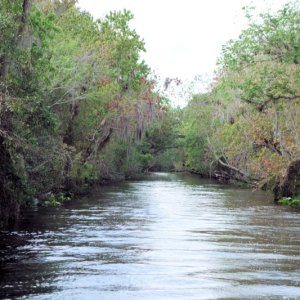 hontoon dead river cutoff