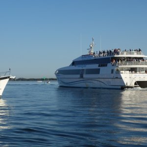 DSC05000