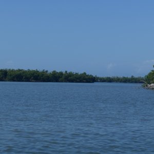 P1030312